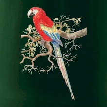 Papoušek na listnatém stromě