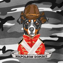 Napoleon domácí pes kříženec