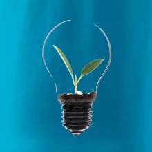 Žárovka květináč