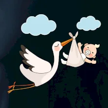 Čáp čekáme miminko - neutrální