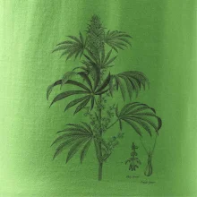 Konopí kytka černobílá