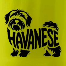 Havanese nápis v těle