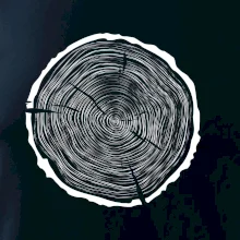 Letokruhy 60 bez věku