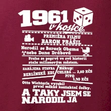 1961 v kostce