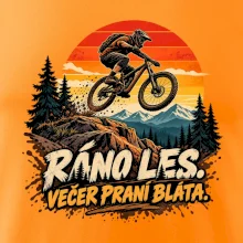 Ráno les večer praní bláta na kole