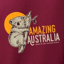 Amazing Australia koala
