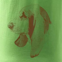 Basset - kreslená hlava