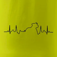 Stafordšírsky bulteriér EKG