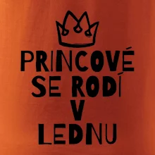 Princové se rodí v lednu