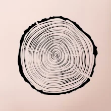 Letokruhy 25 bez věku