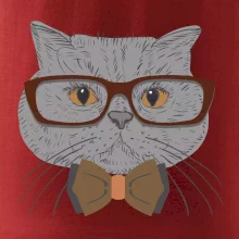 Hipster britská modrá