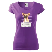 Lump a darebák čivava