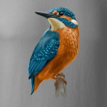 Lednáček kreslený