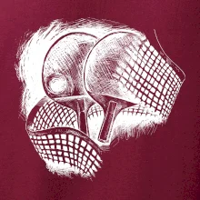 Ping pong pálky a síť