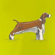 Vintage Springer spaniel