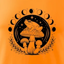 Goblincore fáze měsíce