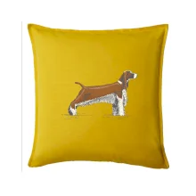 Vintage Springer spaniel