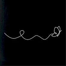 Dráha letu motýla - vlnovka