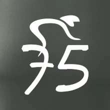 Cyklista slaví pětasedmdesátku (75)