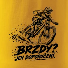 Brzdy jen doporučení - biker v zatáčce