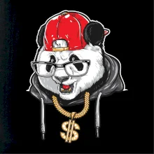 Hip hop panda