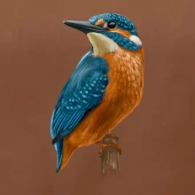 Lednáček kreslený