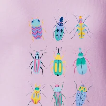 Barevní brouci (studio-arte.cz)