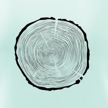 Letokruhy 80 bez věku