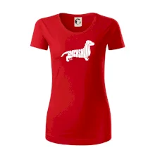 Jezevčík - Dachshund