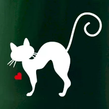 Zamilovaná kočka prohnutá