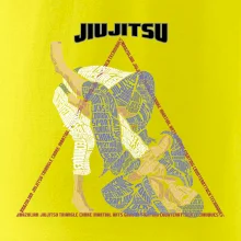 Jiu jitsu triangle