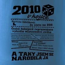 2010 v kostce