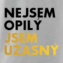 Nejsem opilý jsem úžasný