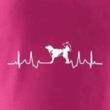 Český strakatý pes EKG