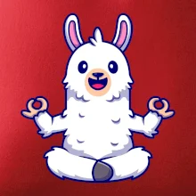 Yoga meditace - lama