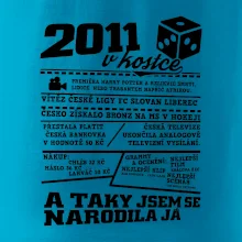 2011 v kostce