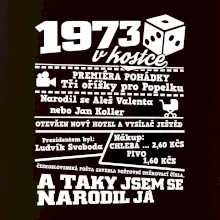 1973 v kostce