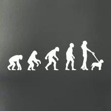 Lagotto romagnolo Evoluce