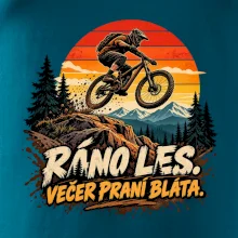 Ráno les večer praní bláta na kole