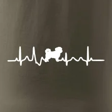 Havanský psík ekg