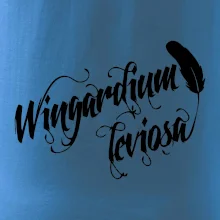 Harry - Wingardium Leviosa