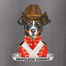 Napoleon domácí pes kříženec