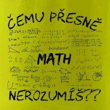 Čemu přesně nerozumíš? Matematika Čemu přesně nerozumíš? Matematika