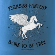 Pegasus fantasy