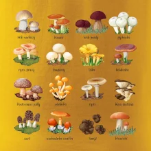 Atlas hub - triko s houbami