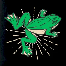 Žába zelená kreslená