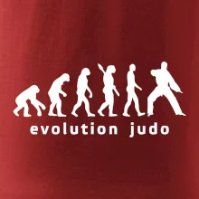 Judo evoluce - úder