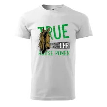 True Horse Power 1 HP