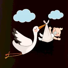 Čáp čekáme miminko - neutrální