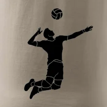 Volejbal nápřah muž